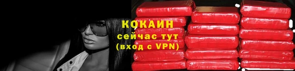 шишки Куйбышев