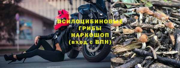 шишки Куйбышев